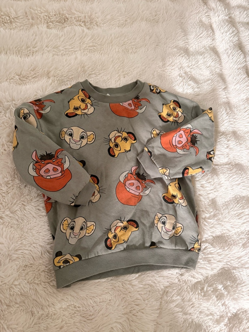 H&M Disney Lion King Sweatshirt 4T